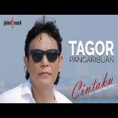 Download Lagu Tagor Pangaribuan - Cintaku Mp3