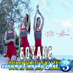 Download Lagu Vita Alvia - Goyang Bukan Kaleng Kaleng Mp3
