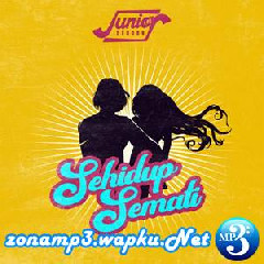 Download Lagu Junior Reborn - Sehidup Semati Mp3