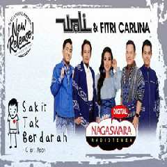Download Lagu Wali & Fitri Carlina - Sakit Tak Berdarah Mp3