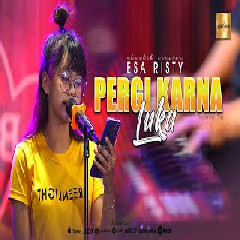 Download Lagu Esa Risty - Pergi Karna Luka Mp3