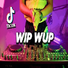 Download Lagu Mindset - WIP WUP วิบวับ Explicit (Tiktok Version Remix) Mp3