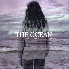 Download Lagu Mike Perry - The Ocean (feat. Shy Martin) Mp3