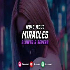 Download Lagu DJ Miracles - Jedag Jedug (Slowed And Reverb) Mp3