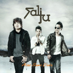 Download Lagu Salju - Pungguk Merindukan Bulan Mp3