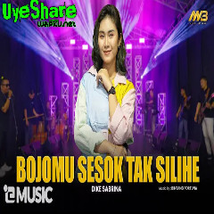 Download Lagu Dike Sabrina - Bojomu Sesok Tak Silihe (feat. Bintang Fortuna) Mp3