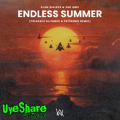 Download Lagu Alan Walker - Endless Summer (feat. Zak Abel) Mp3